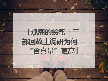 观潮的螃蟹丨干部回故土调研为何“含真量”更高